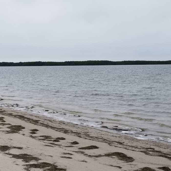 Near Pelican Trail