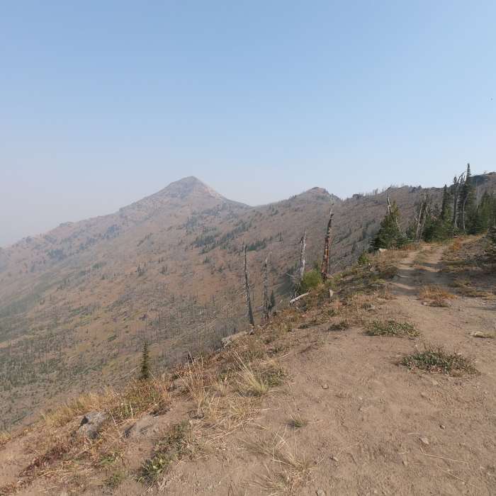 Near Road's End Trail #201