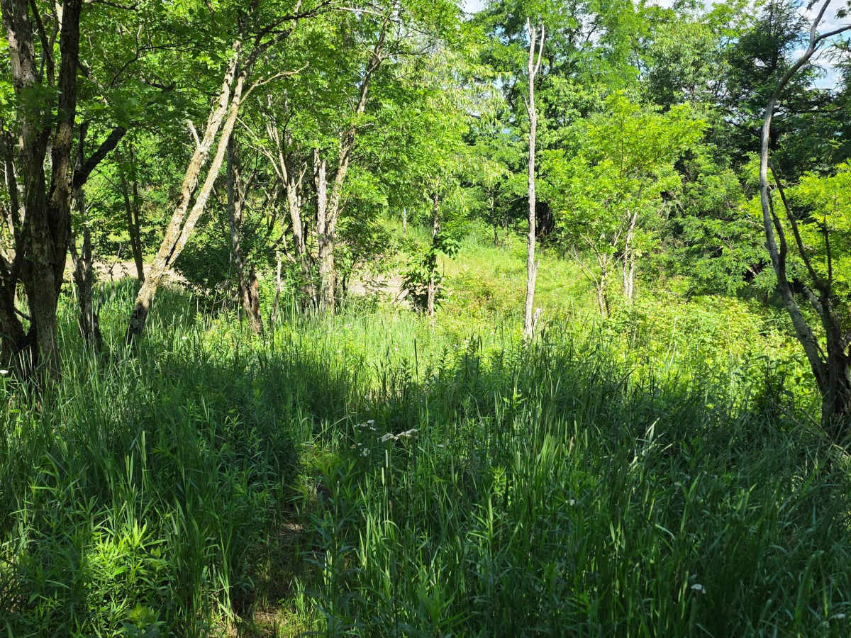 Single Track X photo 4