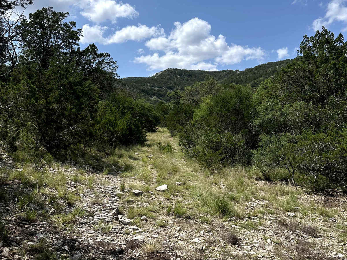 Oat Patch trail photo