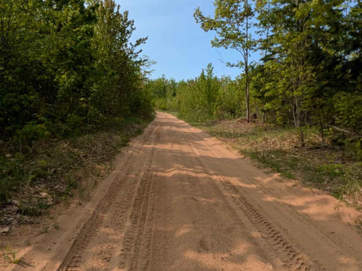 Alder Truck Trail trail photo