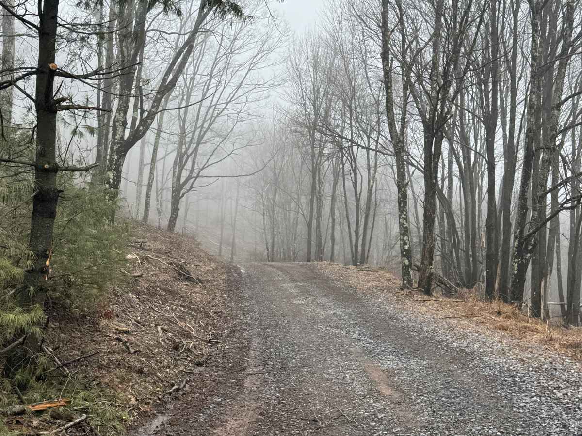 Clendennin Run Road photo 3