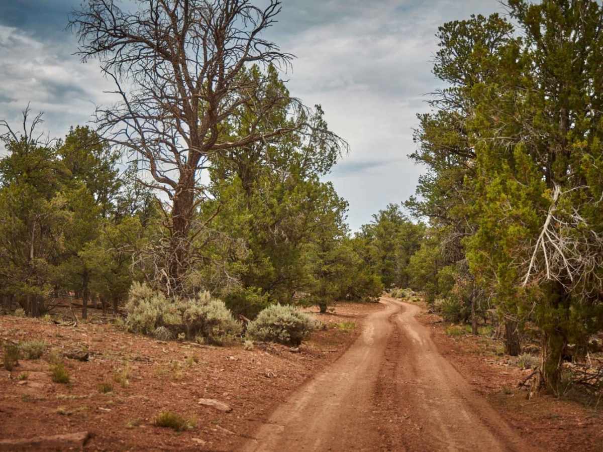 Old 304 Road photo 2