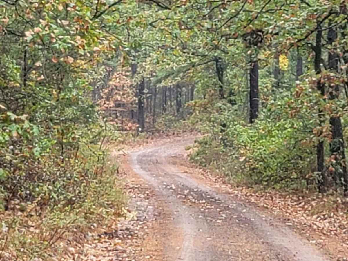 Talley Mountain photo 5