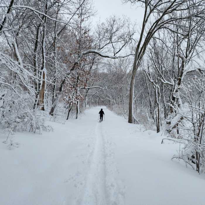 Near Lone Lake to Bryant Lake