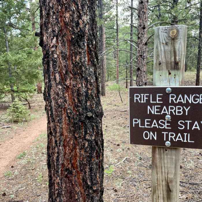 Near Colorado Trail Segment 3