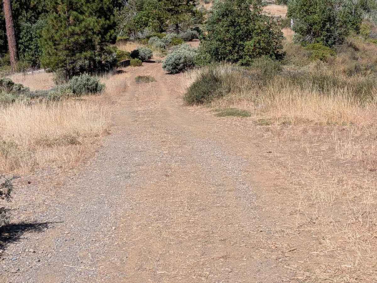 Wilson Point Road - FS 30N21  photo 6