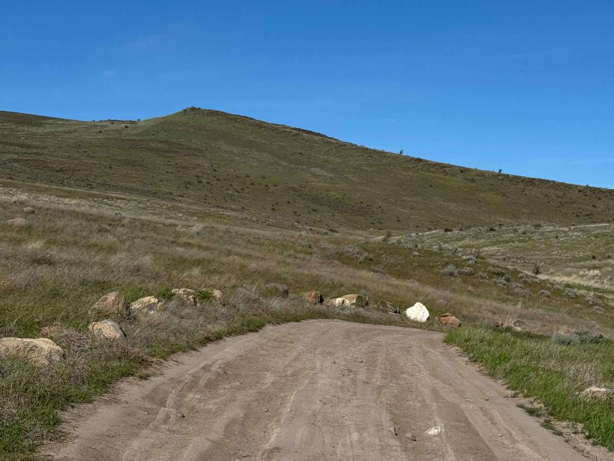 Roza Creek Road photo 6