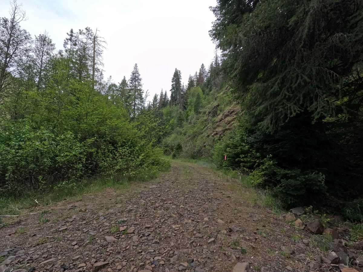 Corporation Road - FS 32 photo 5
