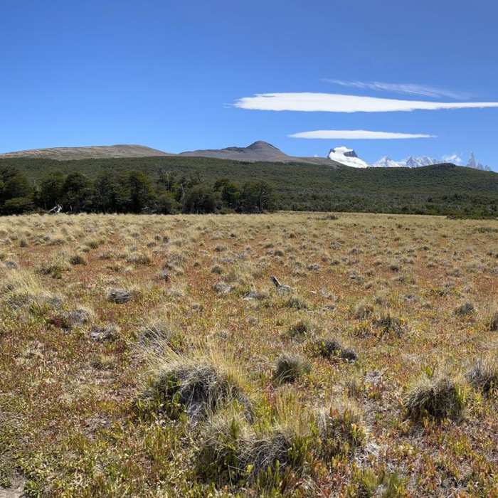 Near Loma del Pliegue Tumbado