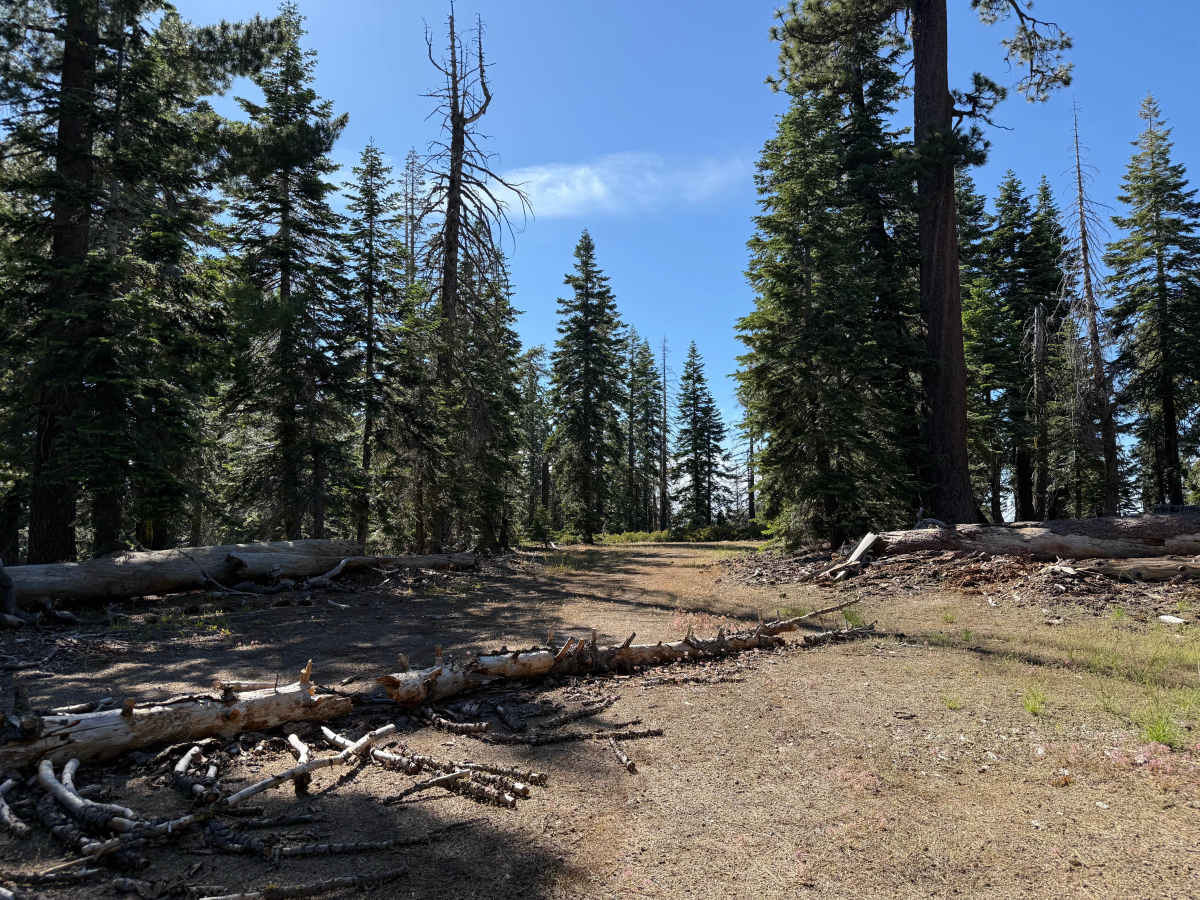 Silver Meadow - FS 11N37G photo 4