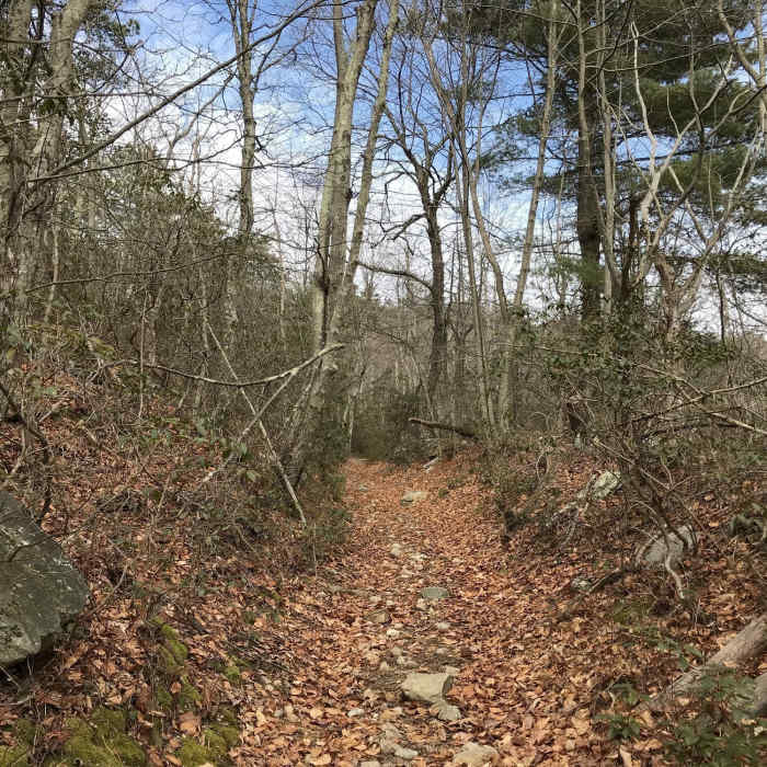 Near Laurel Run Circuit