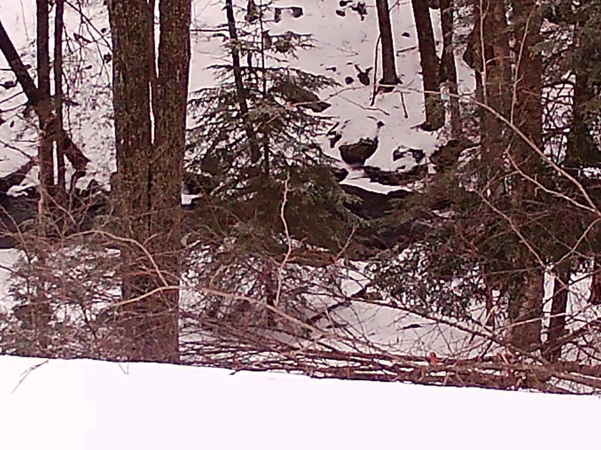 Mountain Spring Road photo 3