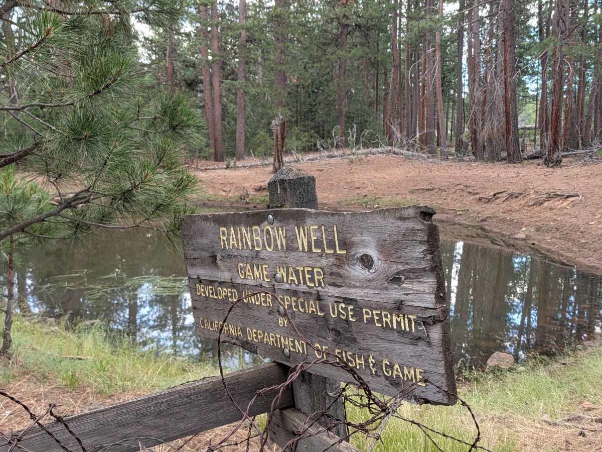 Rainbow Well - FS 44N06 photo 4