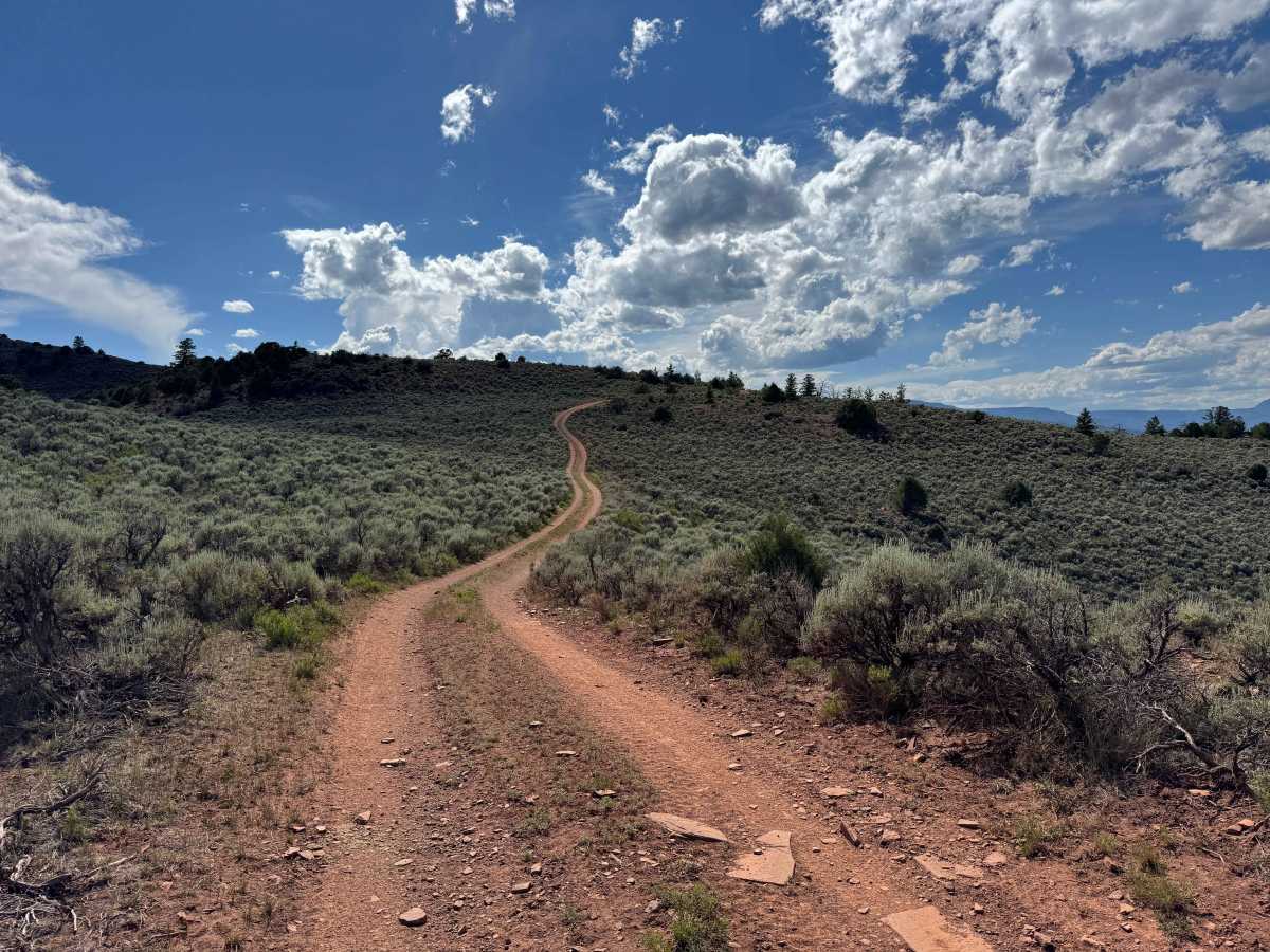 BLM 8462 trail photo