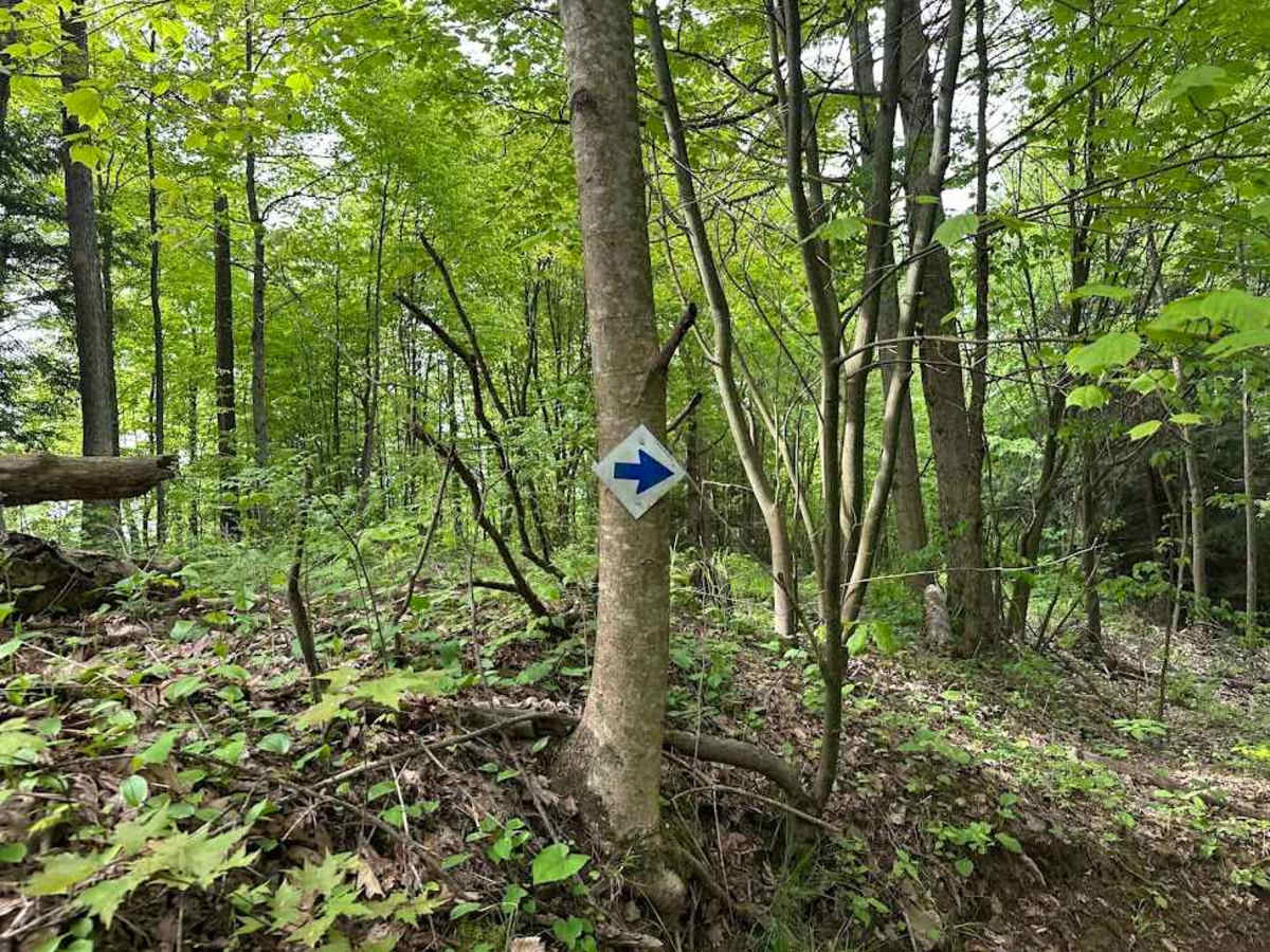 B Blue B6 - B9 trail photo