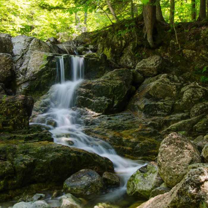 Near Gill Brook Trail