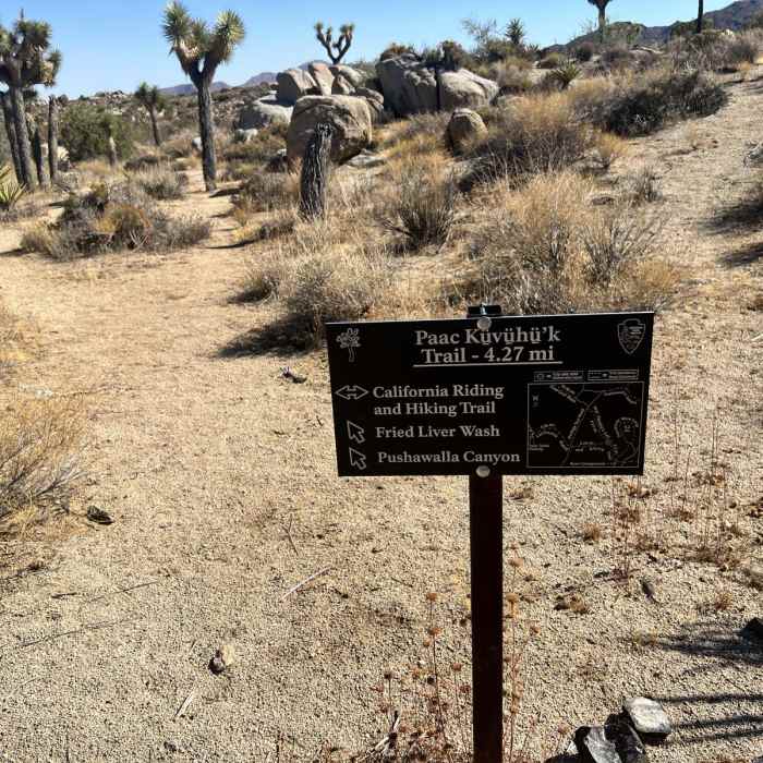 Near Ryan Campground to Geology Tour Road Loop