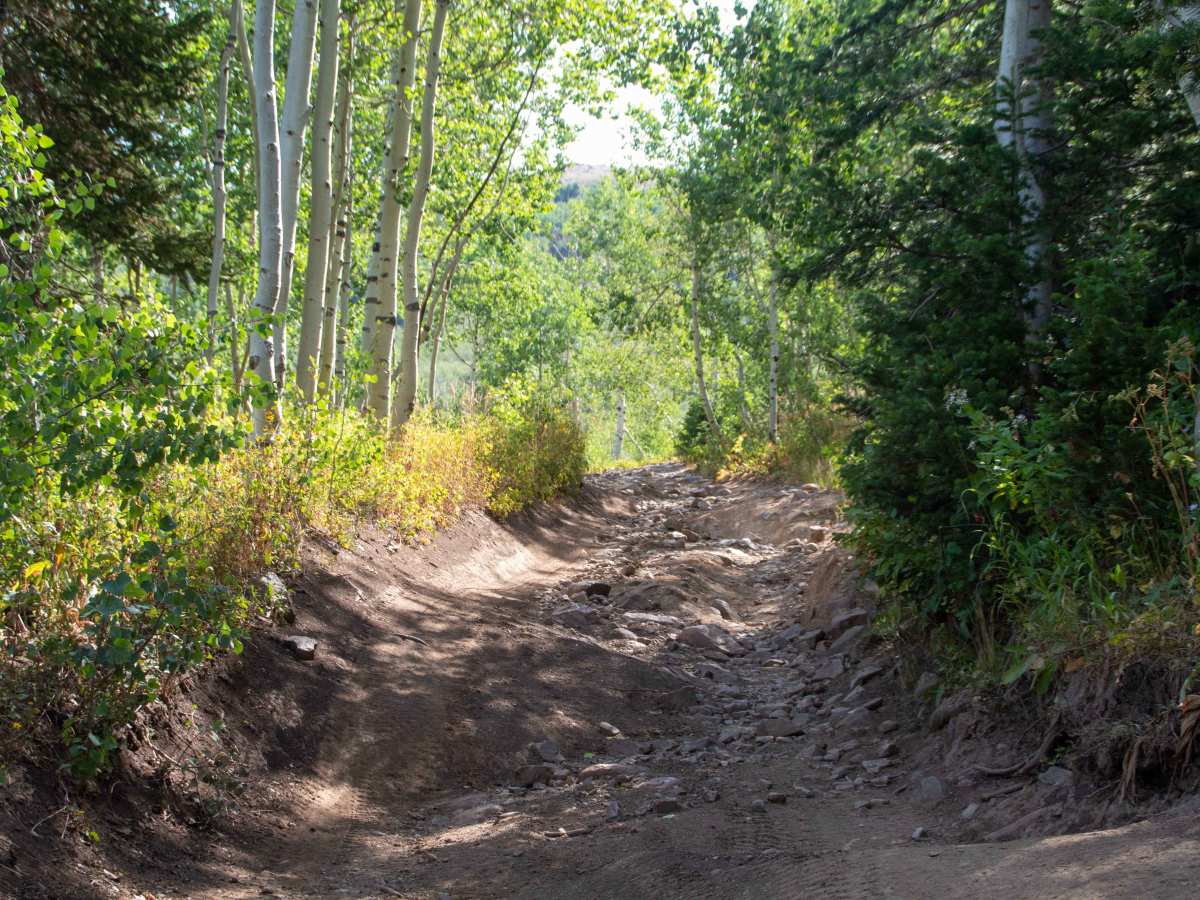 Chicken Creek photo 6