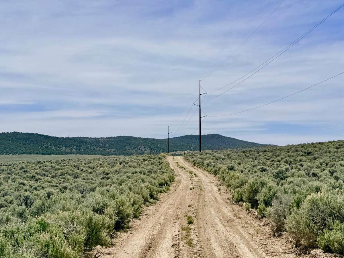 Streshley Springs FS42496 trail photo