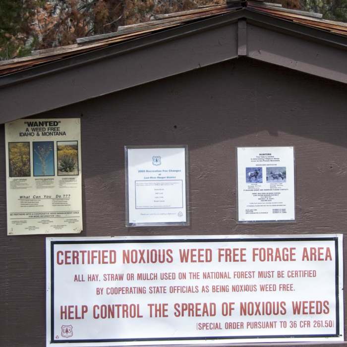 Near Bellas Lakes Near Bellas Lakes