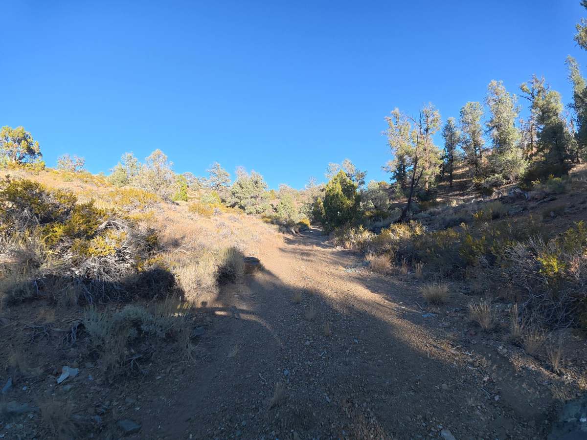 FS 8S40B trail photo