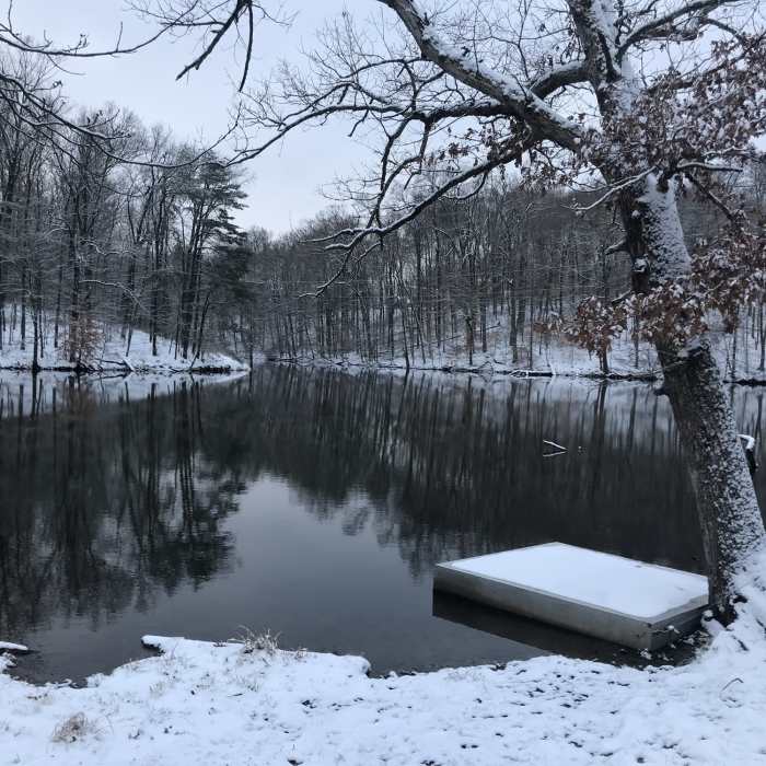 Near Trail 1