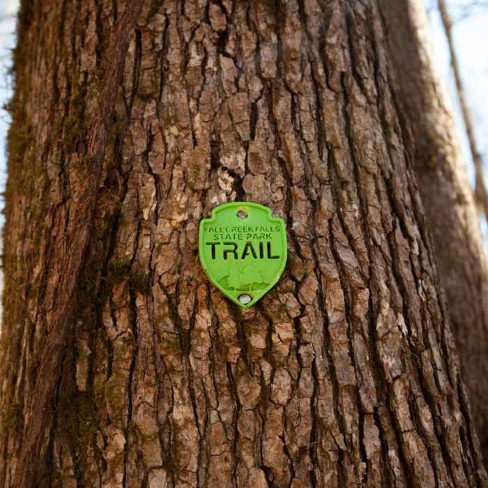 Near Prater Place and Hemlock Falls