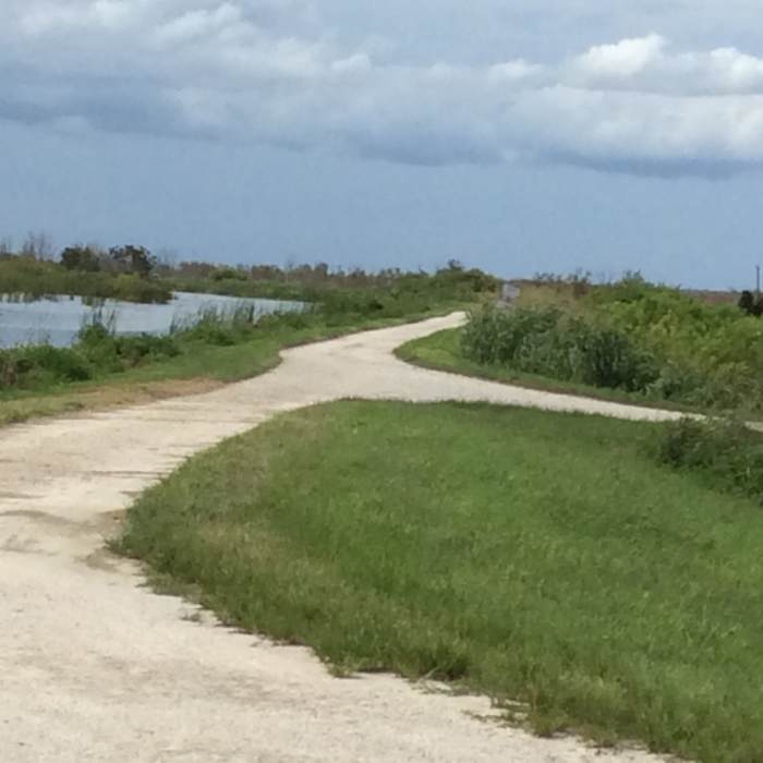 Near Lake Apopka Loop Trail