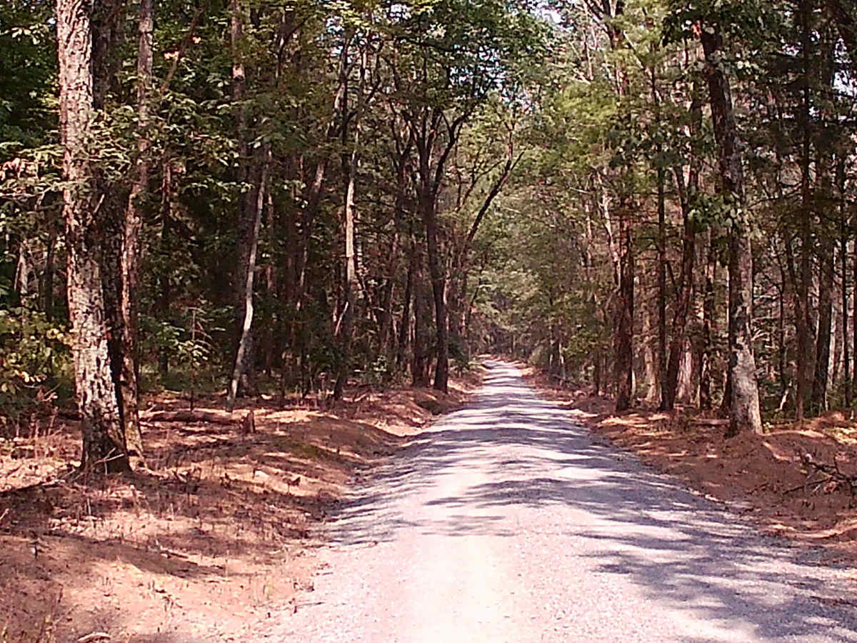 Thomas Dam Road photo 2