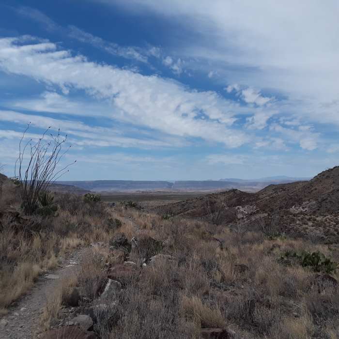 Near Burro Spring Trail