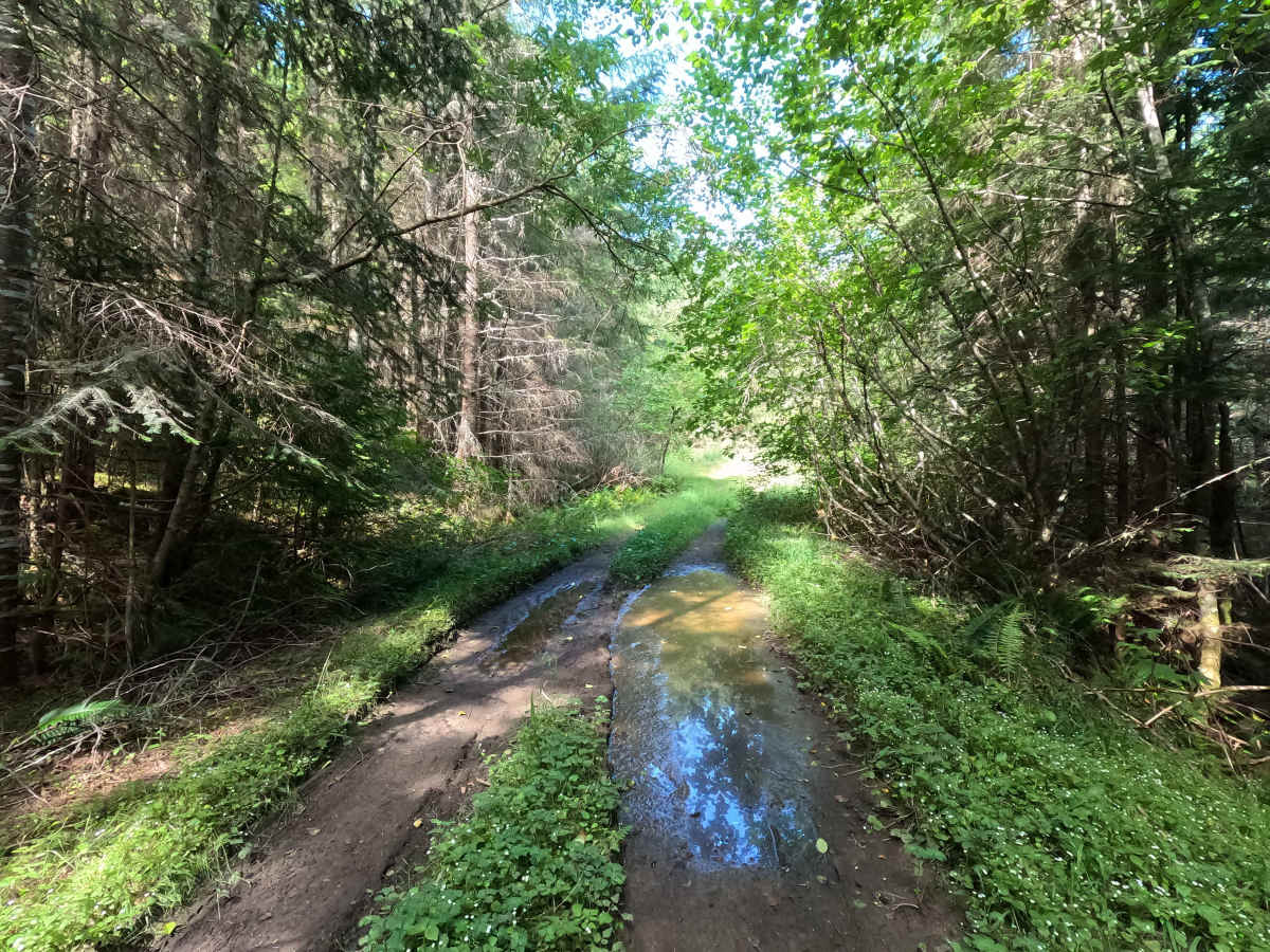 FS 2878110 photo 4