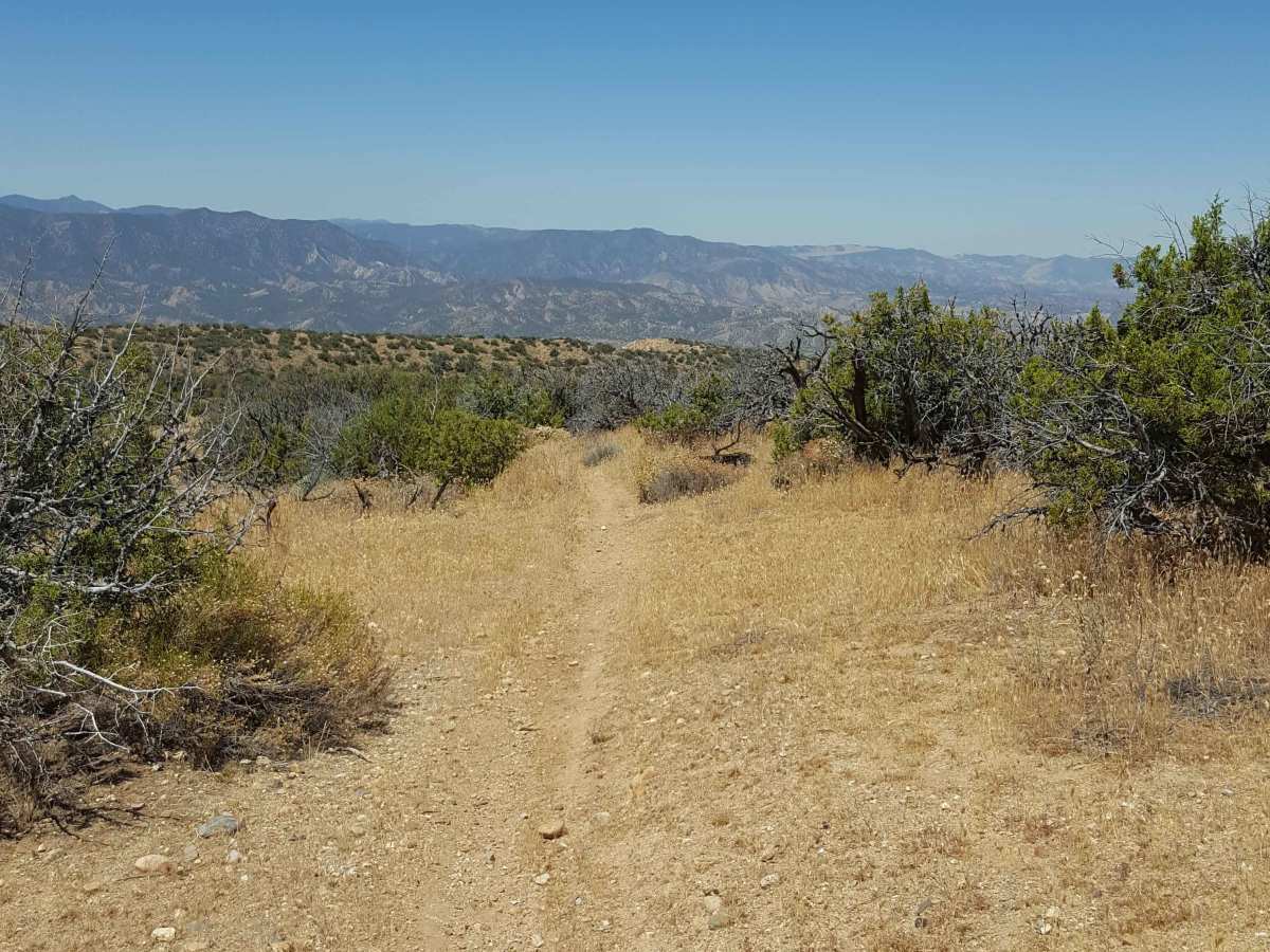 Trail 39 photo 4