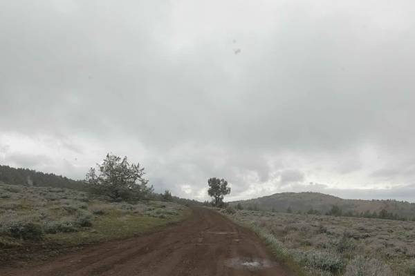 Gray Butte - NF-5700