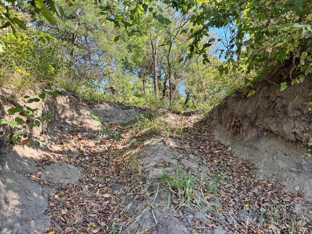 PTO Hill photo 6