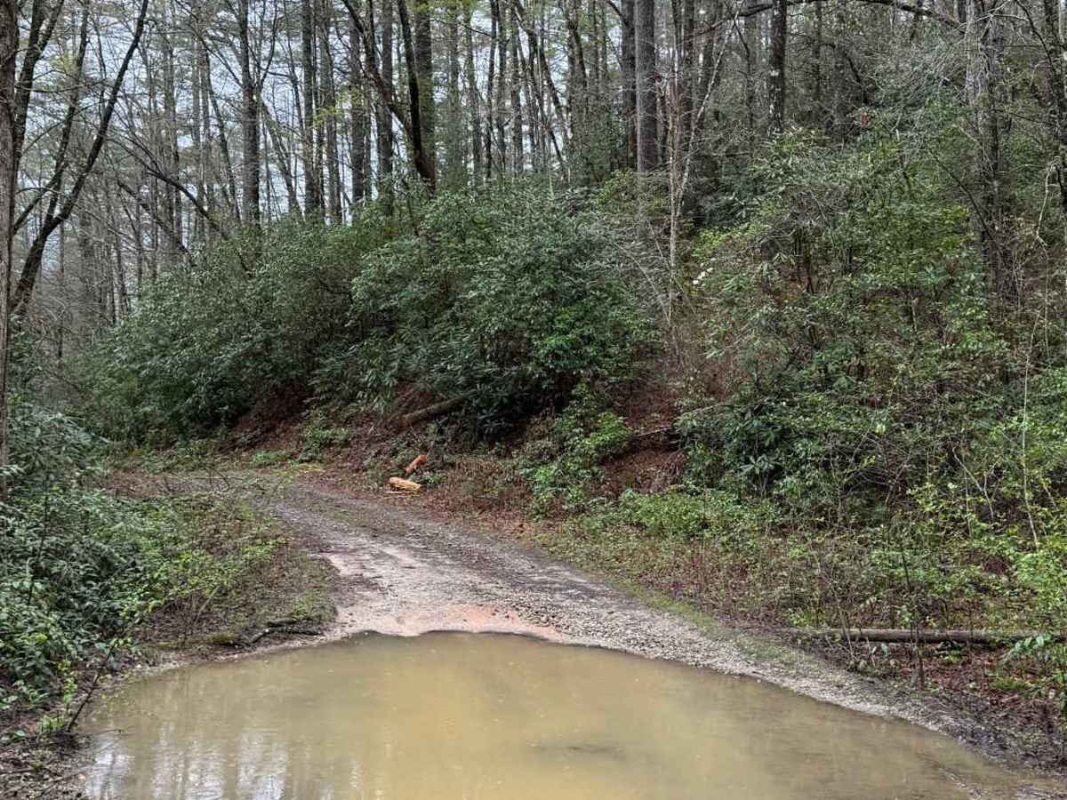 Holcomb Creek - FS 696 photo 5