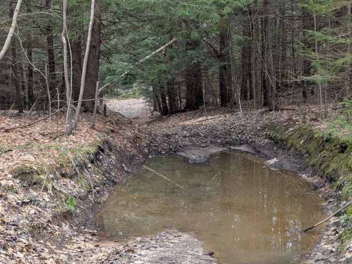 Creek Crossing photo 3