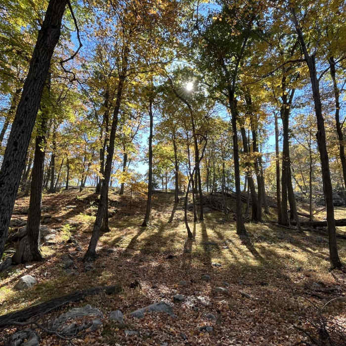 Near Tuxedo - Mt. Ivy Trail