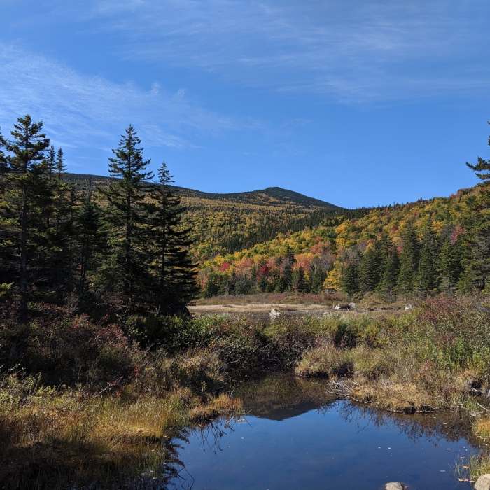 Near Zealand Trail