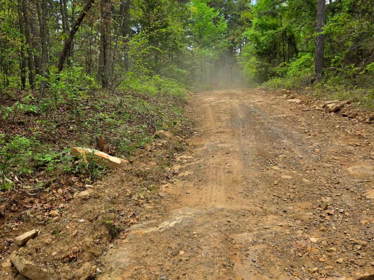 Fern Mountain photo 3