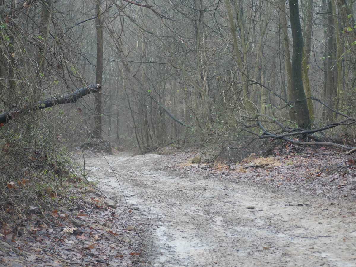 Trail 43 photo 3