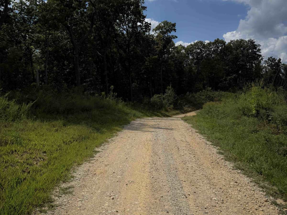 Meadow Ridge Road 5  photo 4