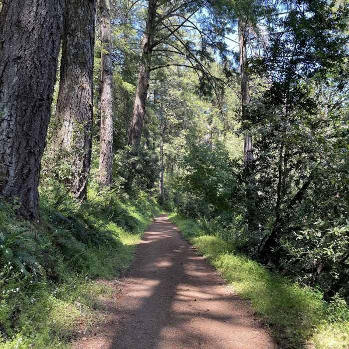 Near Wunderlich Loop