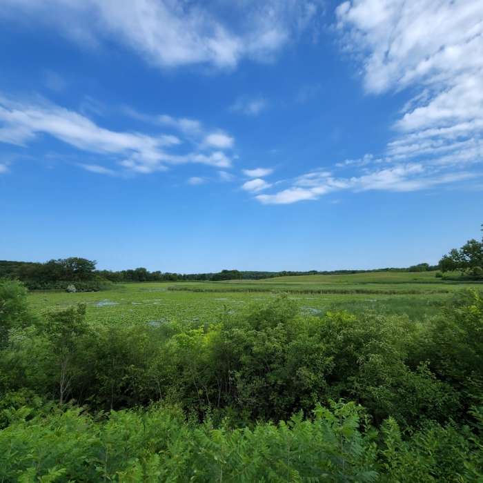 Lundtsen Lake from the King Waterfowl Sanctuary viewpoint. Near Carver Park (West) Loop