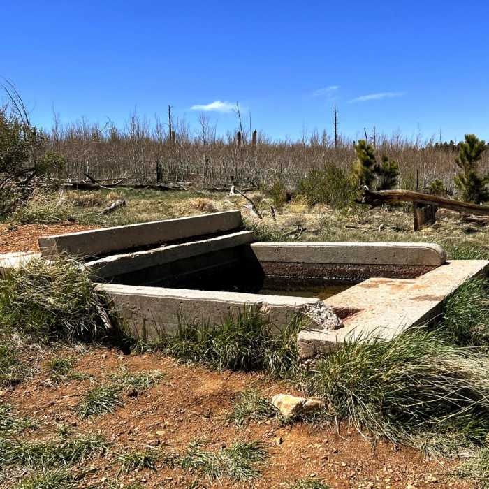 Near Arizona Trail Passage 41: Kaibab Plateau Central