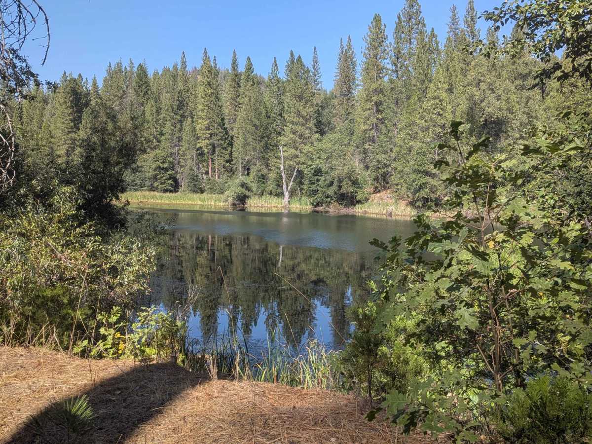 Jordan Creek Road - FS 2S17 trail photo