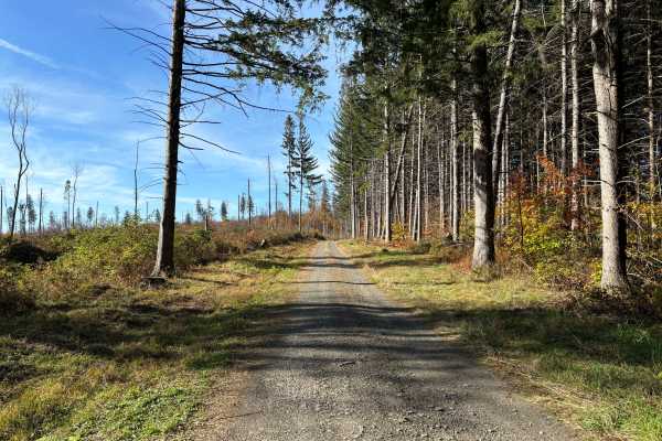 Maxon Creek State Forest
