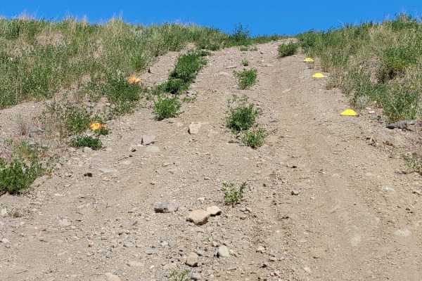 Lac du Bois Grasslands OHV Park