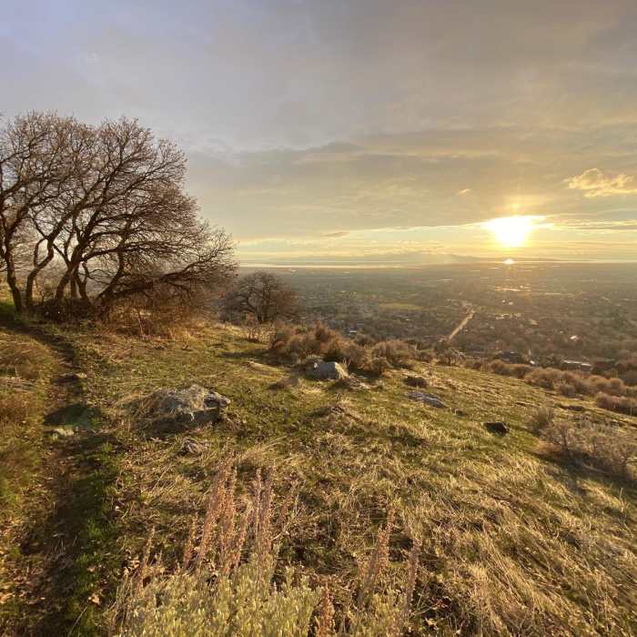 Near Bonneville Shoreline Trail