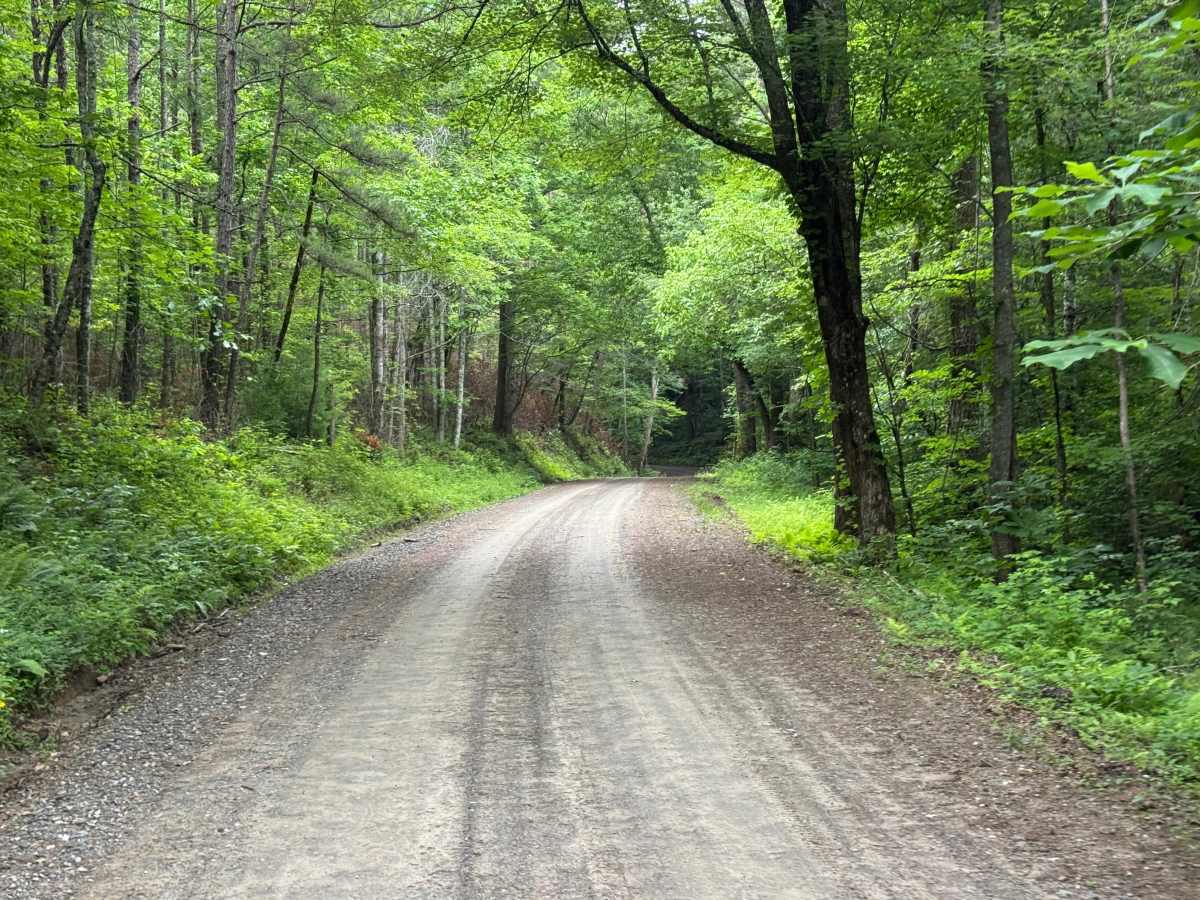 Evans Creek - FS 4621 photo 3